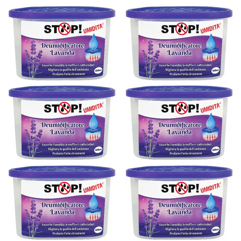6pz Deumidificatore Casa Portatile 500ml contro Muffa Assorbi Umidità Lavanda