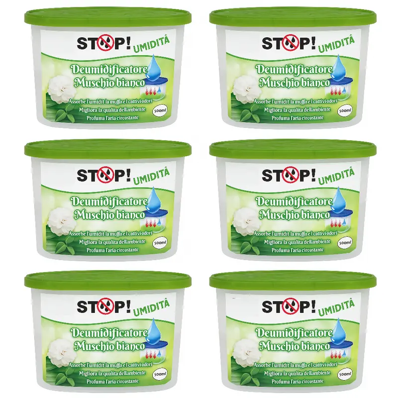 6pz Deumidificatore Casa Portatile 500ml contro Muffa Assorbi Umidità Muschio Bianco