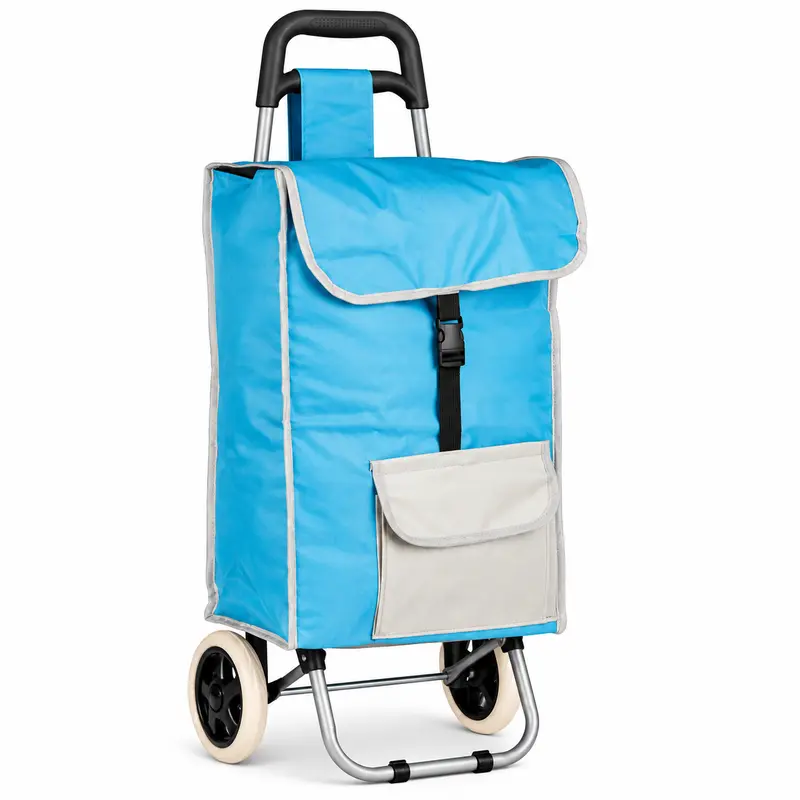 Carrello Trolley Frigo Isotermico con Ruote e Manico 35x30 H90 cm Azzurro