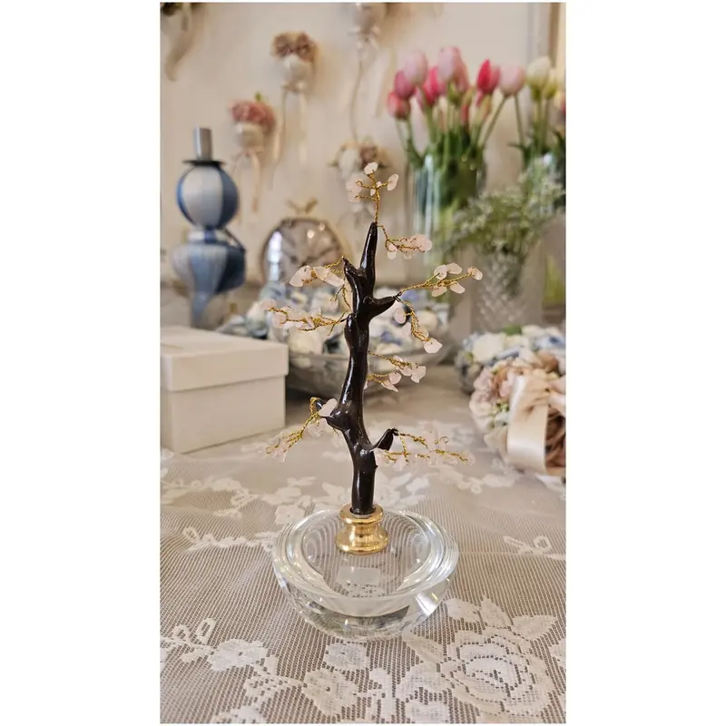 Chiaraela Pianta Bonsai con coralli "Fancy" H20 cm 4 varianti(1 unità)