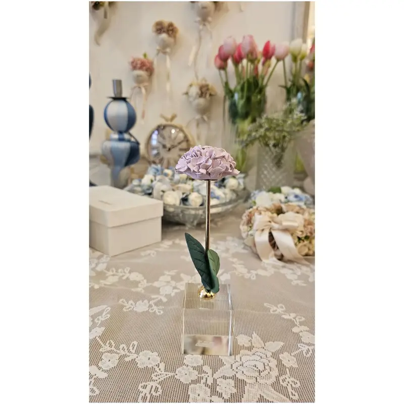 Chiaraela Pianta Ortensia su cubo "Giardino" 5x5xH18 cm 3 varianti(1 unità)