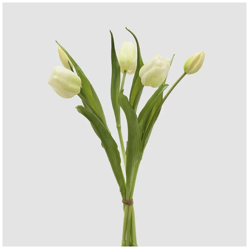 EDG Enzo de Gasperi Mazzo Tulipano(4) chiuso con foglie H40 cm 5 varianti(1 unità)