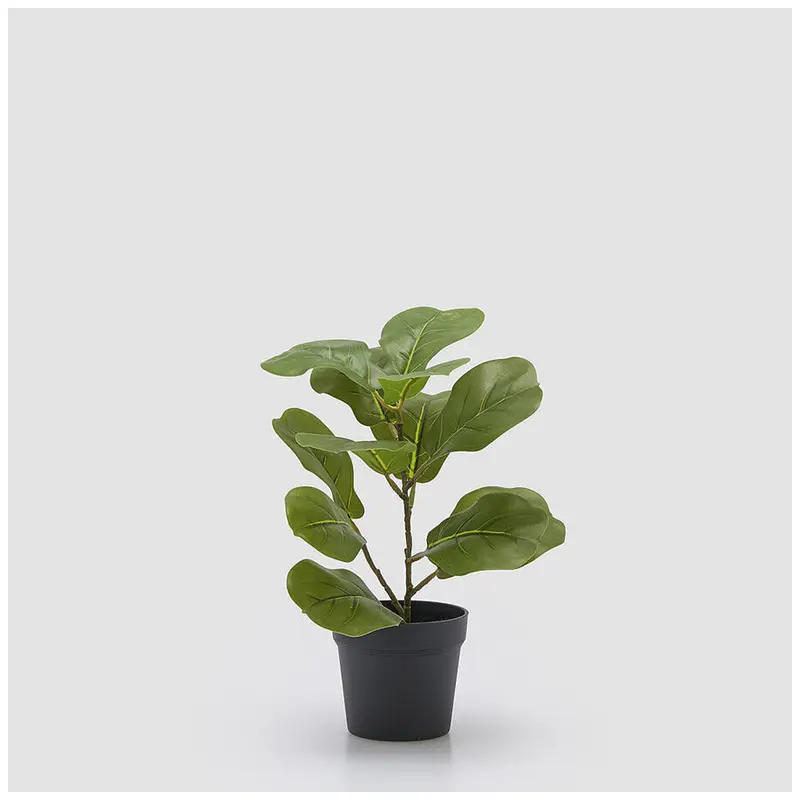 EDG Enzo De Gasperi Pianta artificiale Ficus Lyrata finta con vaso H32 cm