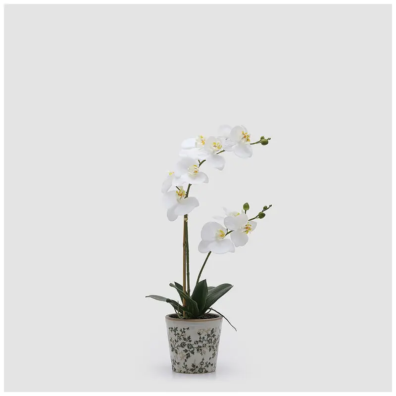 EDG Enzo De Gasperi Pianta artificiale Orchidea Phalaenopsis x2 bianca H60 cm
