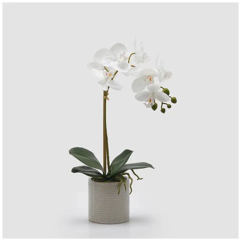 EDG Enzo De Gasperi Pianta artificiale Orchidea Phalaenopsis x2 bianco con vaso H47 cm
