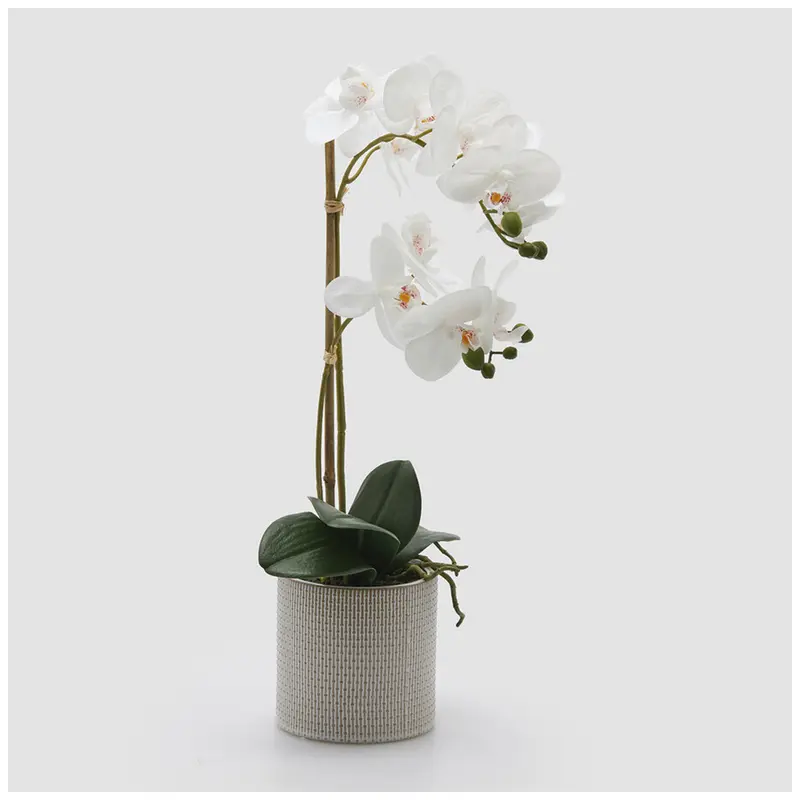 EDG Enzo De Gasperi Pianta artificiale Orchidea Phalaenopsis x2 bianco con vaso H51 cm