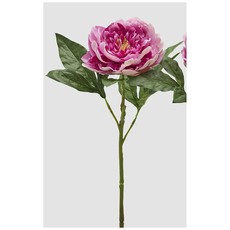 Edg Enzo De Gasperi Ramo Peonia artificiale rosa scuro H58 cm 2 varianti(1 unità)