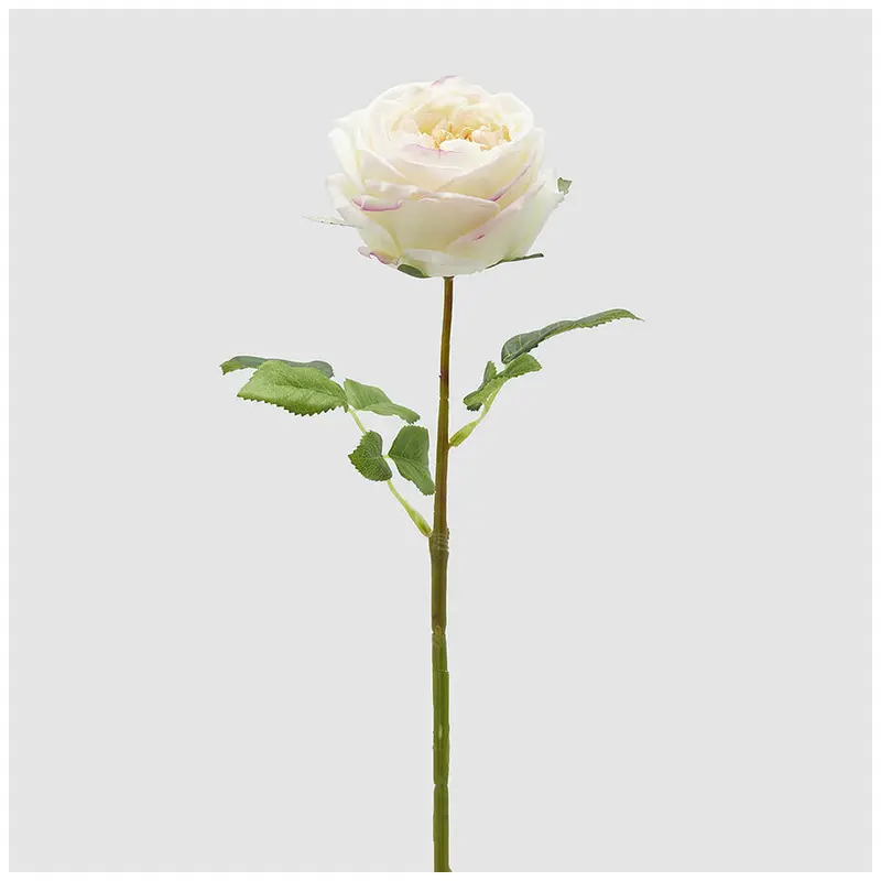 EDG Enzo de Gasperi Ramo Rosa Elide bianco/rosa con foglie artificiale H45 cm