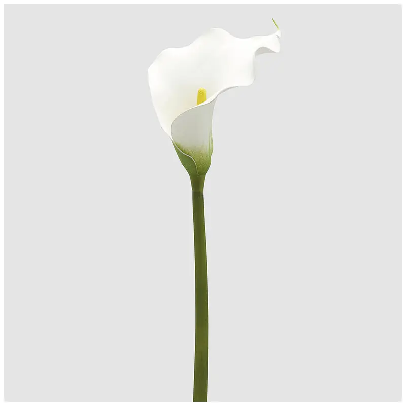 EDG -Ramo Calla Arum artificiale bianco H87 cm