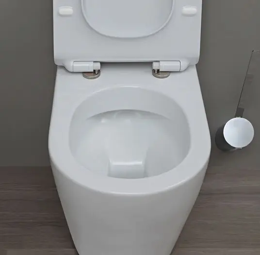 Link Plus Goclean Wc S p Argilla 1