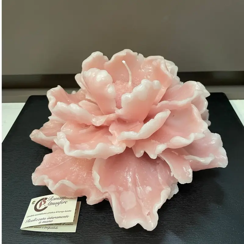 Maxi dalia Cereria Parma - cipria