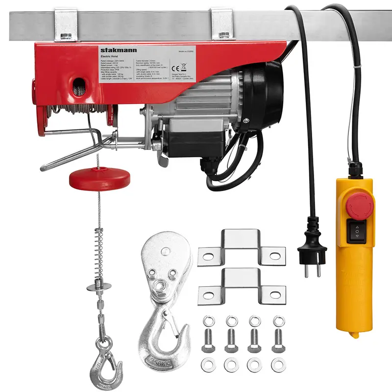 Paranco Elettrico Verricello Montacarichi 125/250kg Sollevatore 450Watt con Accessori