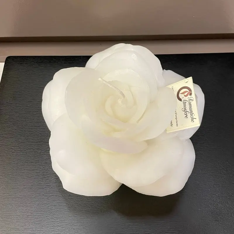 Rosa tea Cereria Parma - bianca