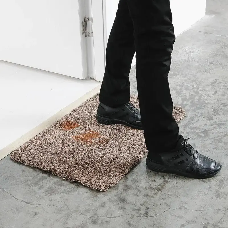 Stain Removal Scouring And Water Absorption In Home Carpet