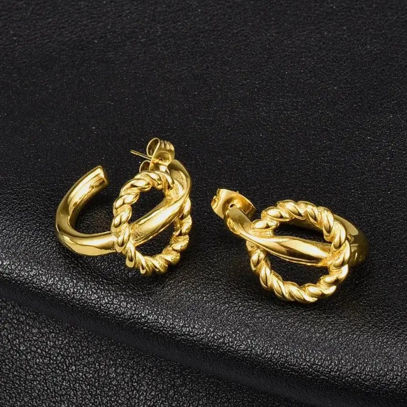 Twist Double Wire Titanium Earrings