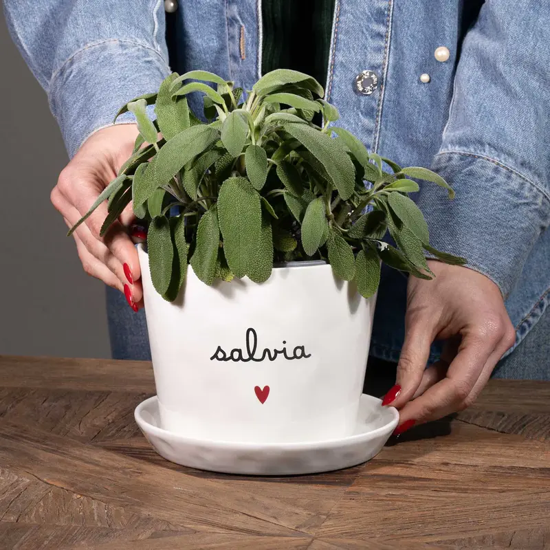 Vaso in Gres "Salvia" D. 15cm H. 12cm