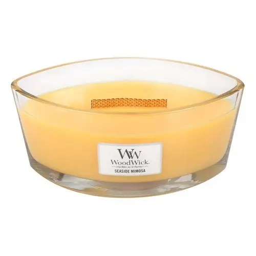 Woodwick Giara Ellipse Seaside Mimosa